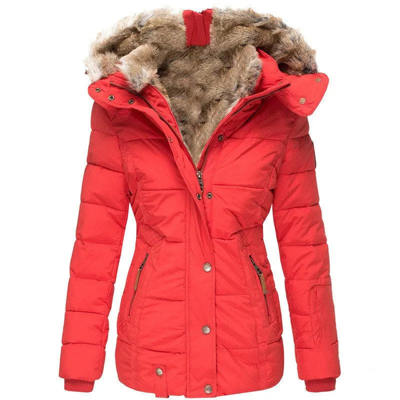 Daunenjacke Damen tailliert, hüftlang mit Kapuze für den Winter