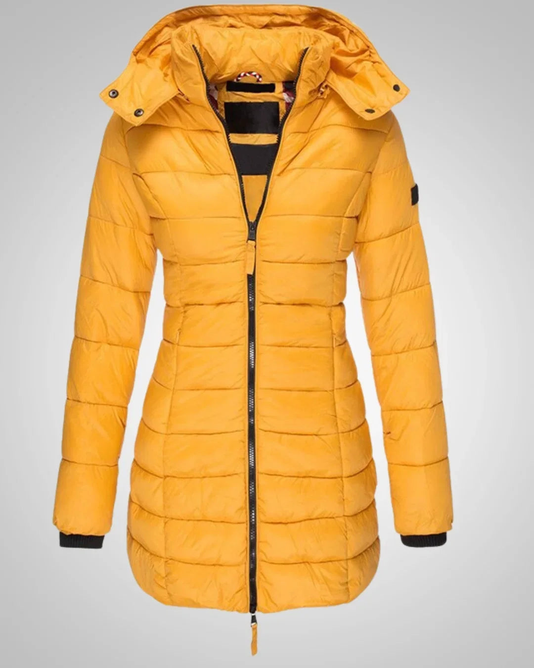Winterjacke Damen mit Daunen, tailliert und abnehmbarer Kapuze