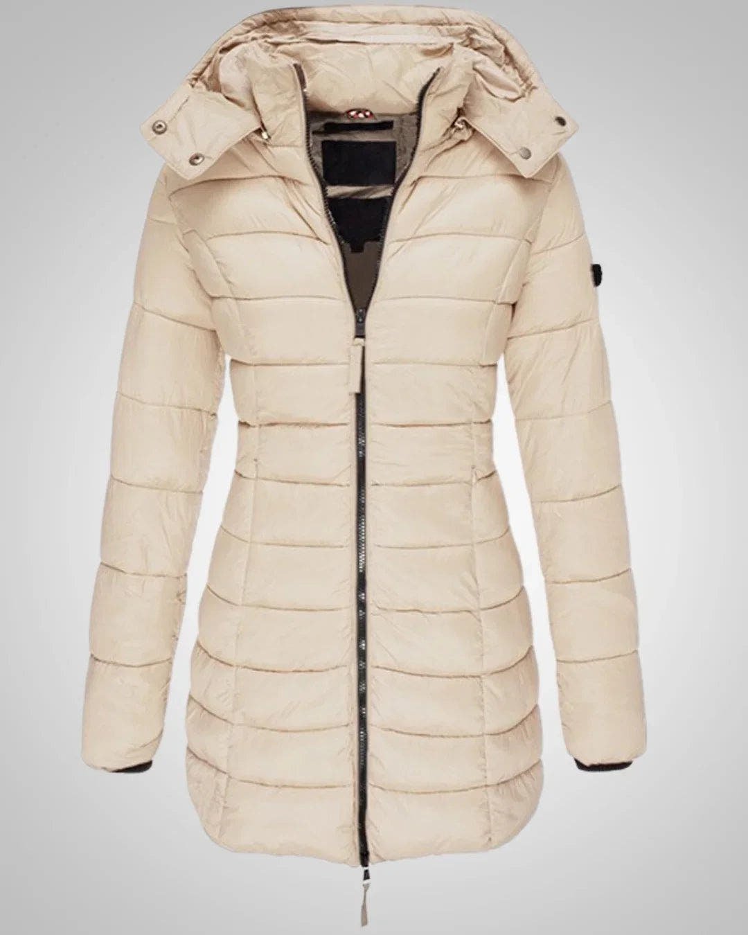 Winterjacke Damen mit Daunen, tailliert und abnehmbarer Kapuze