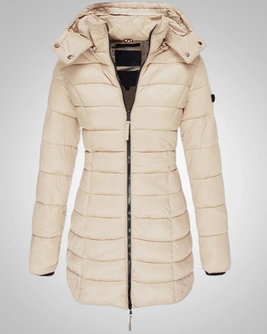 Winterjacke Damen mit Daunen, tailliert und abnehmbarer Kapuze